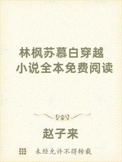 林楓蘇慕白穿越小說全本免費閱讀